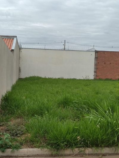 Terreno, 250 m² - Foto 3