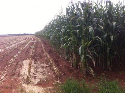 Terreno, 15700 hectares - Foto 2