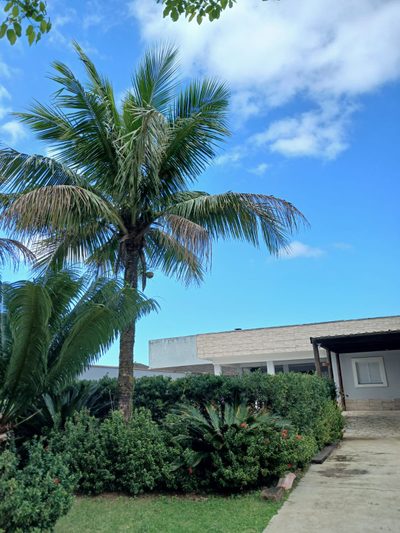 Casa - Foto 4