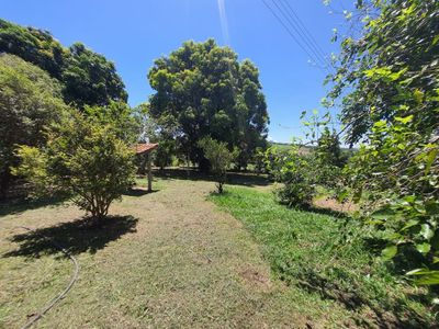 Fazenda, 40 hectares - Foto 4