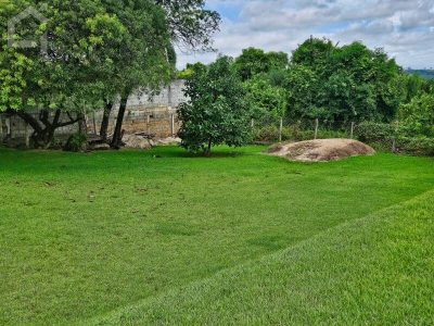 Terreno, 1000 m² - Foto 3
