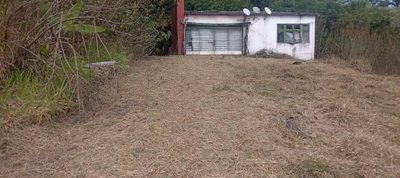 Terreno, 21 hectares - Foto 5