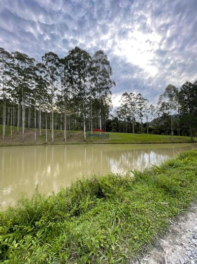 Terreno, 3 hectares - Foto 4
