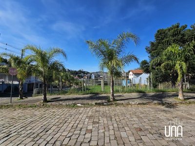 Terreno, 556 m² - Foto 3