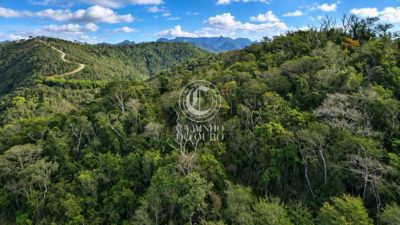 Terreno, 5000 m² - Foto 4