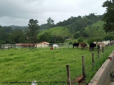 Terreno, 7 hectares - Foto 5