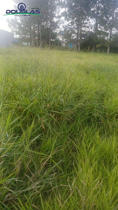 Terreno, 360 m² - Foto 5