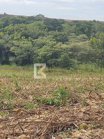 Sítio, 2 hectares - Foto 3