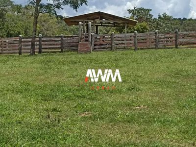Fazenda, 242 hectares - Foto 4