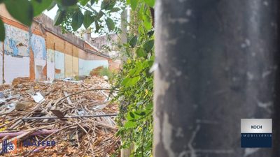 Terreno, 217 m² - Foto 5