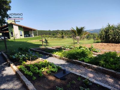 Sítio, 4 quartos, 4 hectares - Foto 1