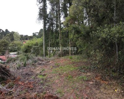Terreno, 1100 m² - Foto 2