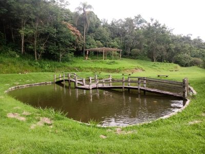 Fazenda, 10000 m² - Foto 5