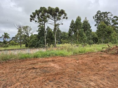 Terreno, 2 hectares - Foto 2
