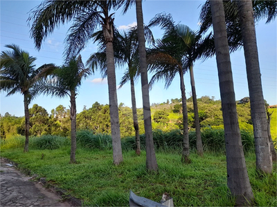 Terreno, 3 hectares - Foto 1