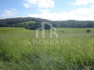 Terreno, 20 hectares - Foto 4