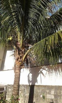 Casa, 2 quartos, 100 m² - Foto 2