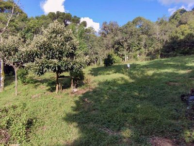 Terreno, 750 m² - Foto 1