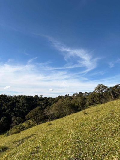 Terreno, 2 hectares - Foto 3