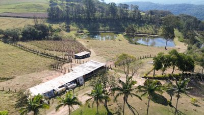 Terreno, 10 hectares - Foto 4