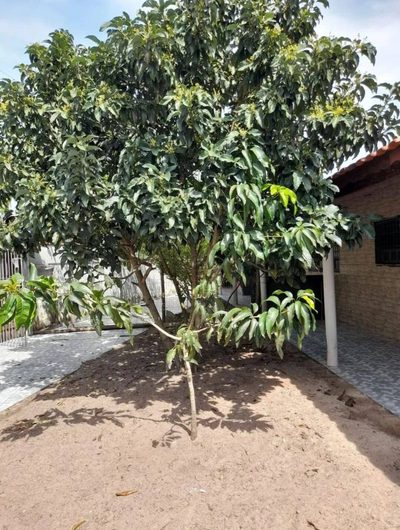 Casa, 2 quartos, 120 m² - Foto 4