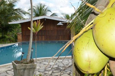 Fazenda, 4000 m² - Foto 5