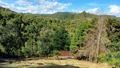 Terreno, 5000 m² - Foto 3
