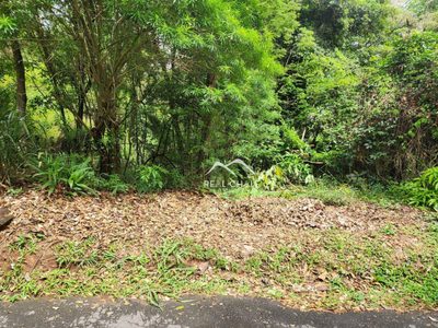 Loteamento e Condomínio, 1000 m² - Foto 2