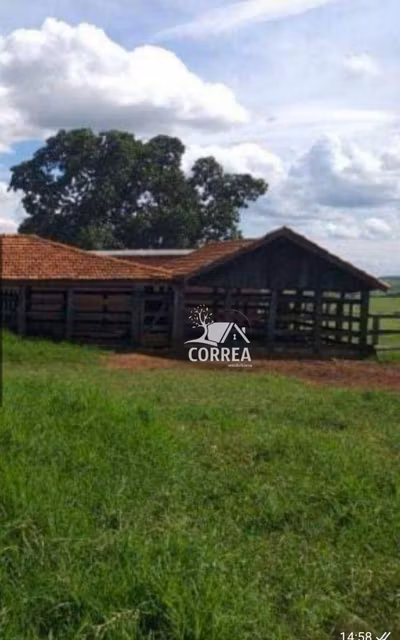 Fazenda, 987 hectares - Foto 4