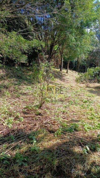 Terreno, 2516 m² - Foto 3
