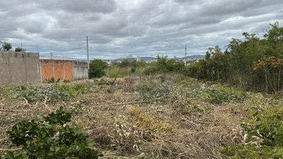 Terreno, 338 m² - Foto 4