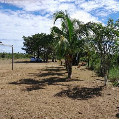 Fazenda, 2 hectares - Foto 3