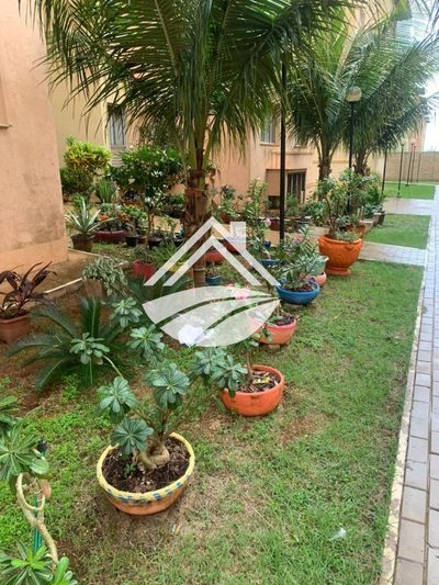 Apartamento, 2 quartos, 55 m² - Foto 4