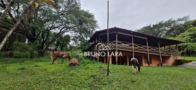 Sítio, 4 quartos, 4 hectares - Foto 3