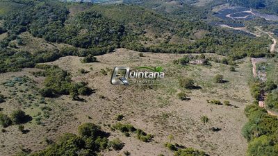 Fazenda, 54 hectares - Foto 4