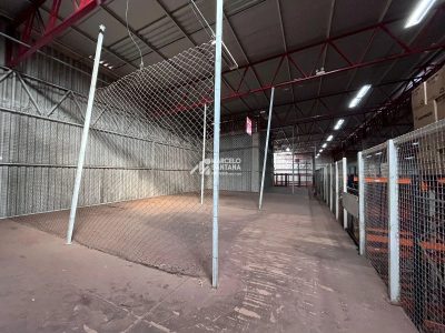 Depósito-Galpão, 3900 m² - Foto 5