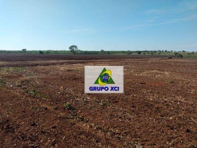 Fazenda, 785 hectares - Foto 5