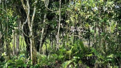 Terreno, 260 m² - Foto 3