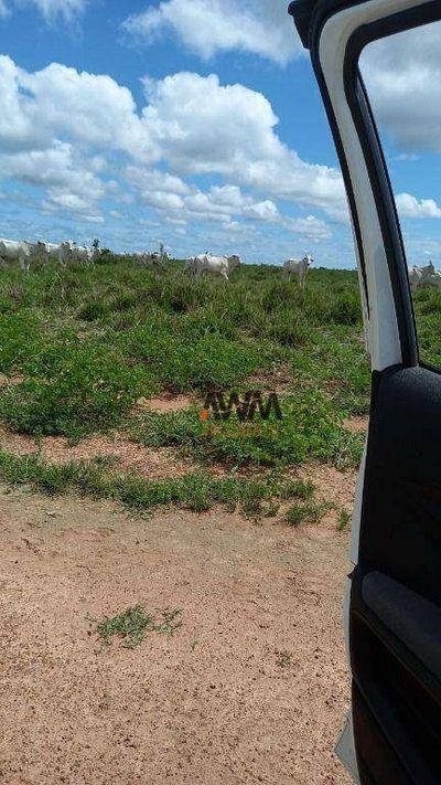 Fazenda, 5808 hectares - Foto 4