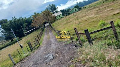 Fazenda, 120 hectares - Foto 1