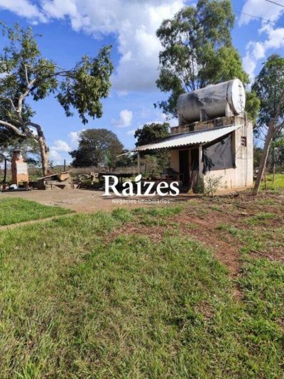 Fazenda, 62 hectares - Foto 2