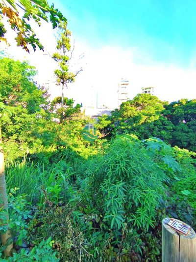 Terreno, 800 m² - Foto 5