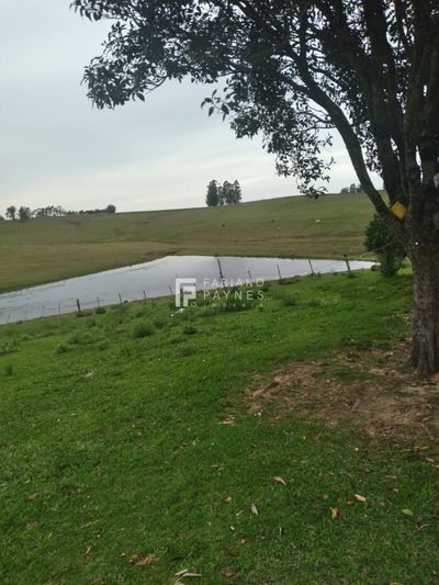 Chácara, 16 hectares - Foto 3