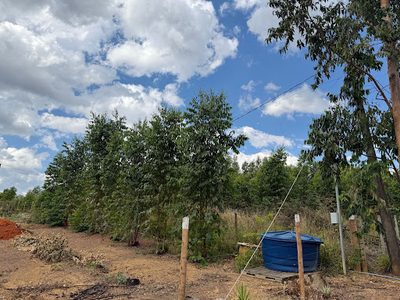 Terreno, 3880 m² - Foto 1