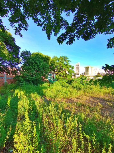 Terreno, 360 m² - Foto 5