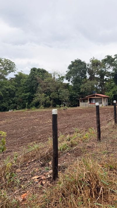 Chácara, 1 quarto, 2 hectares - Foto 2