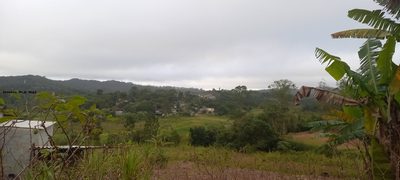 Fazenda, 5000 m² - Foto 5