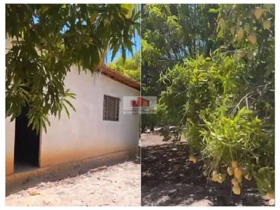 Casa, 6000 m² - Foto 3