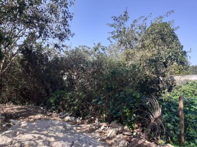 Terreno, 400 m² - Foto 4