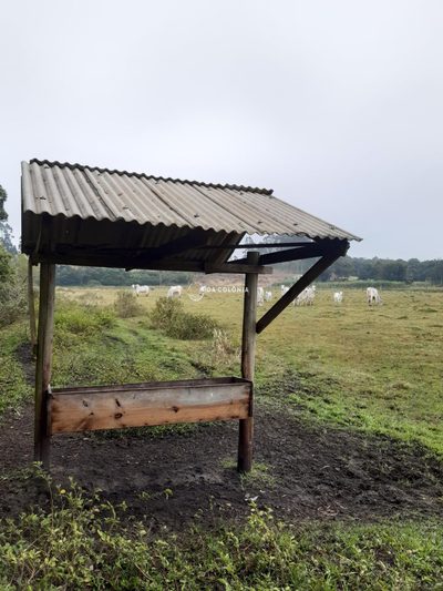 Fazenda, 20 hectares - Foto 1
